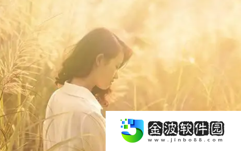星空無痕mv免費視頻觀看：在社交媒體上，理性討論的重要性