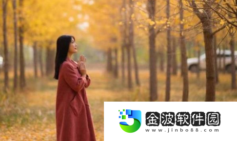 www.1688.gov.cn：想象力的解放與期待