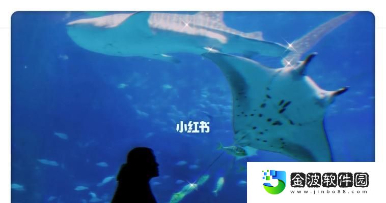 美麗水世界水下探秘攻略