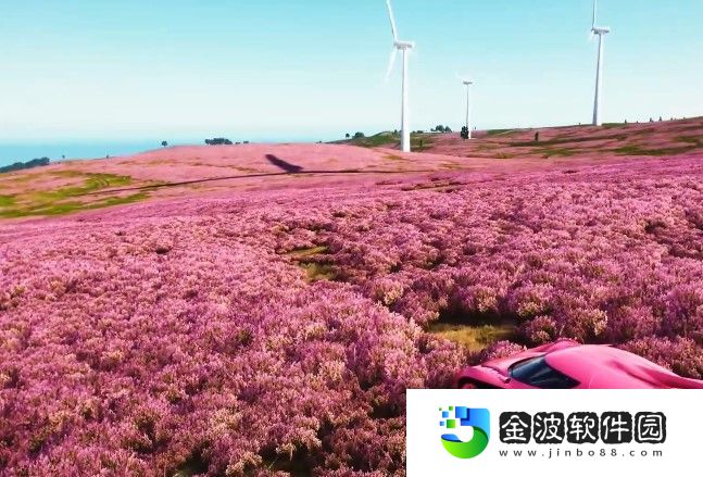 地平線4粉色花海在哪