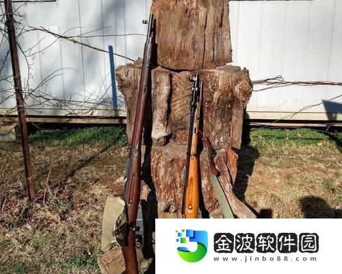 雙生視界步槍攻略