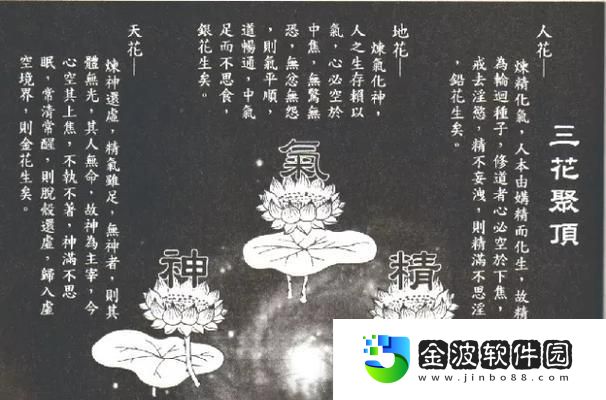 解密朝元丹的神奇秘密