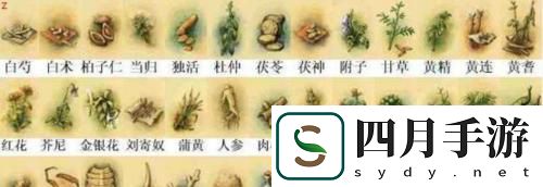 以武林群俠傳武功攻略——掌握絕世武學