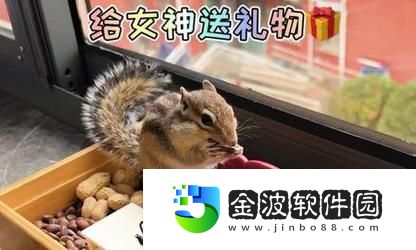 小松鼠的逃脫攻略