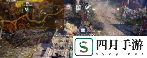 黑色沙漠手游玫瑰怎么獲得