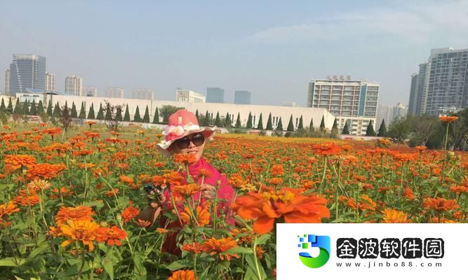 姐妹緣見聞攻略